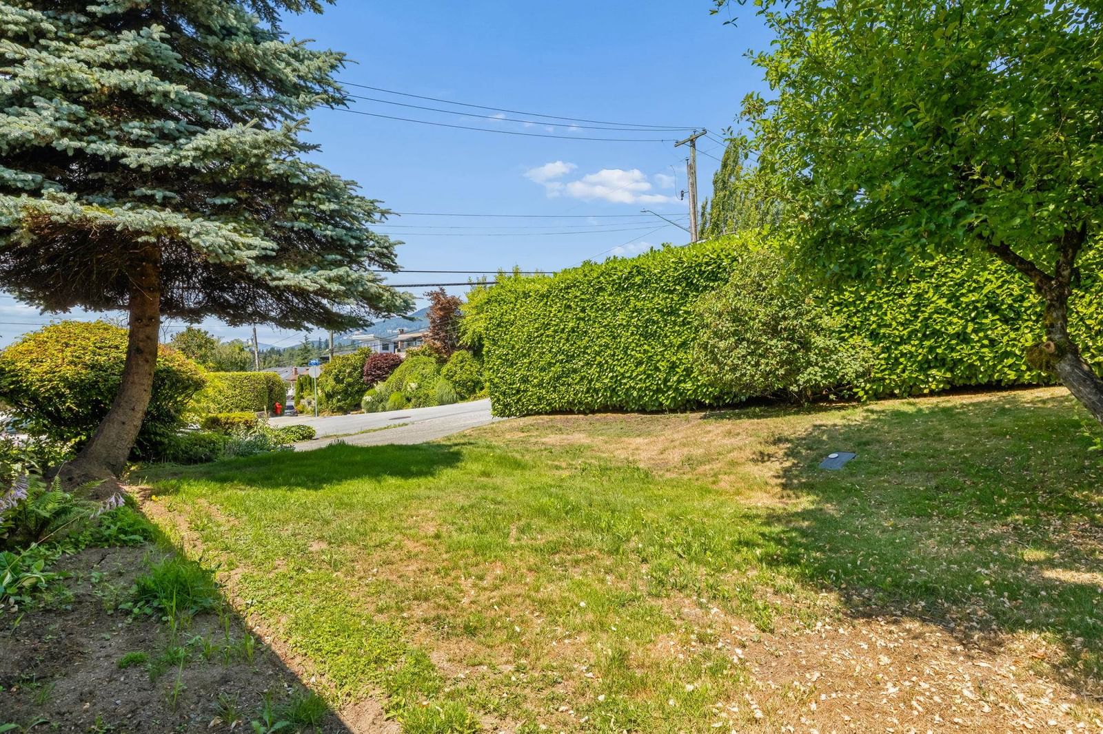 Listing Image 33