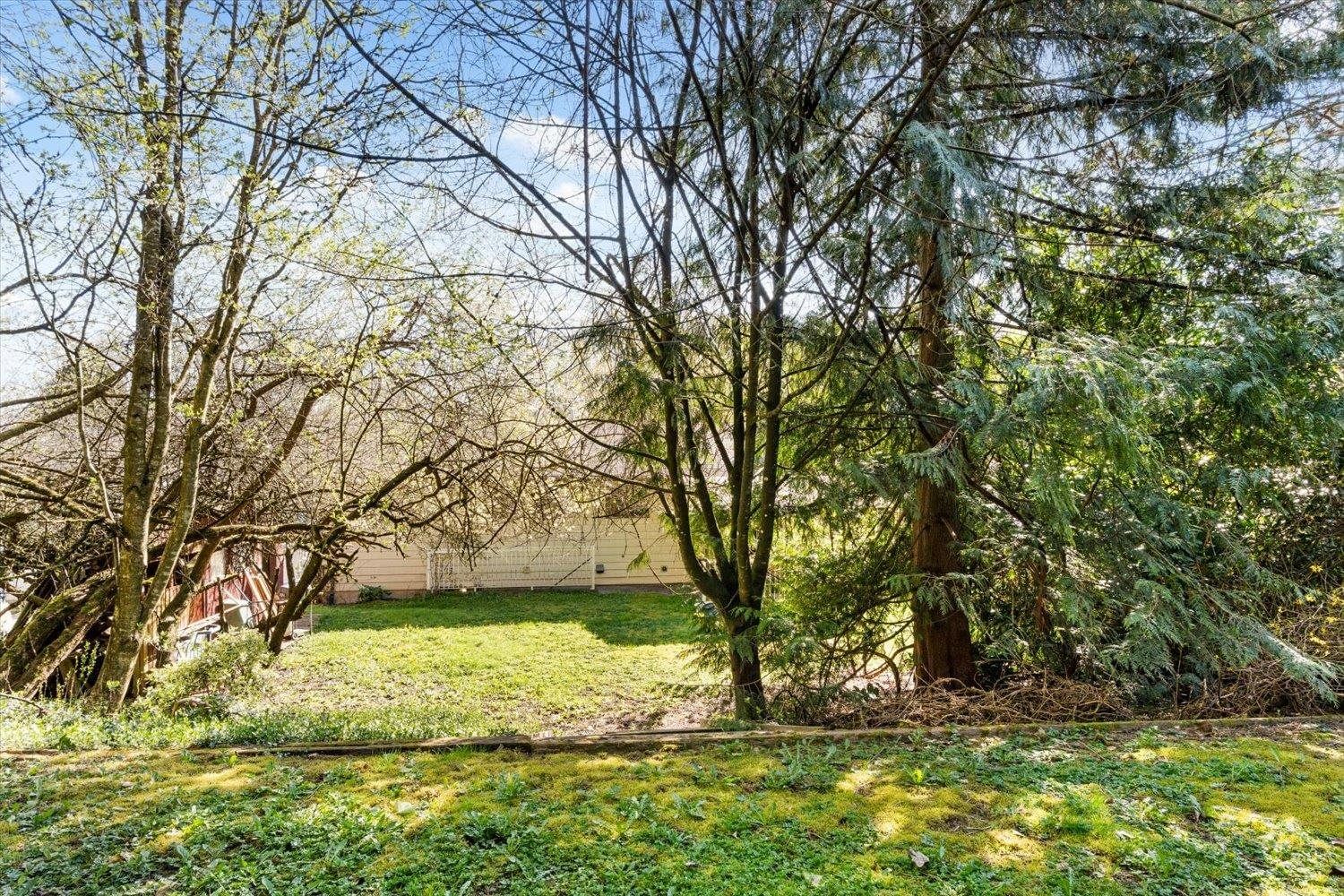 Listing Image 30