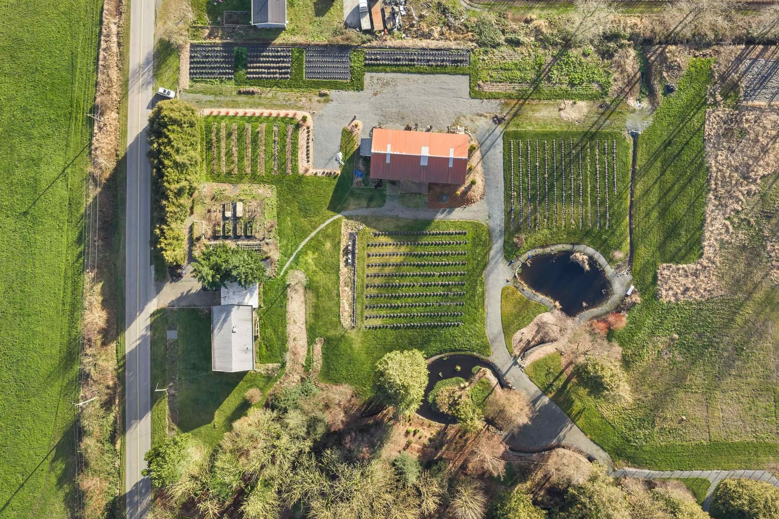 Listing Image 31