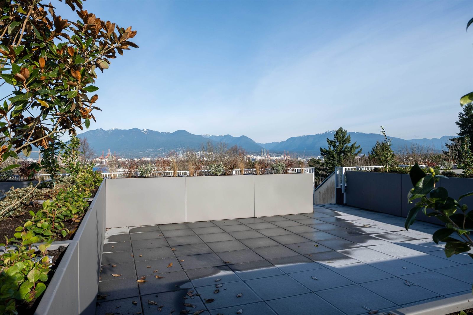 Listing Image 29