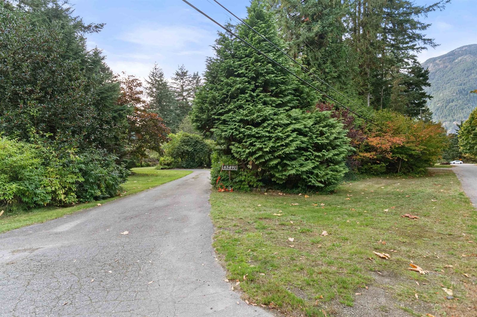 Listing Image 34