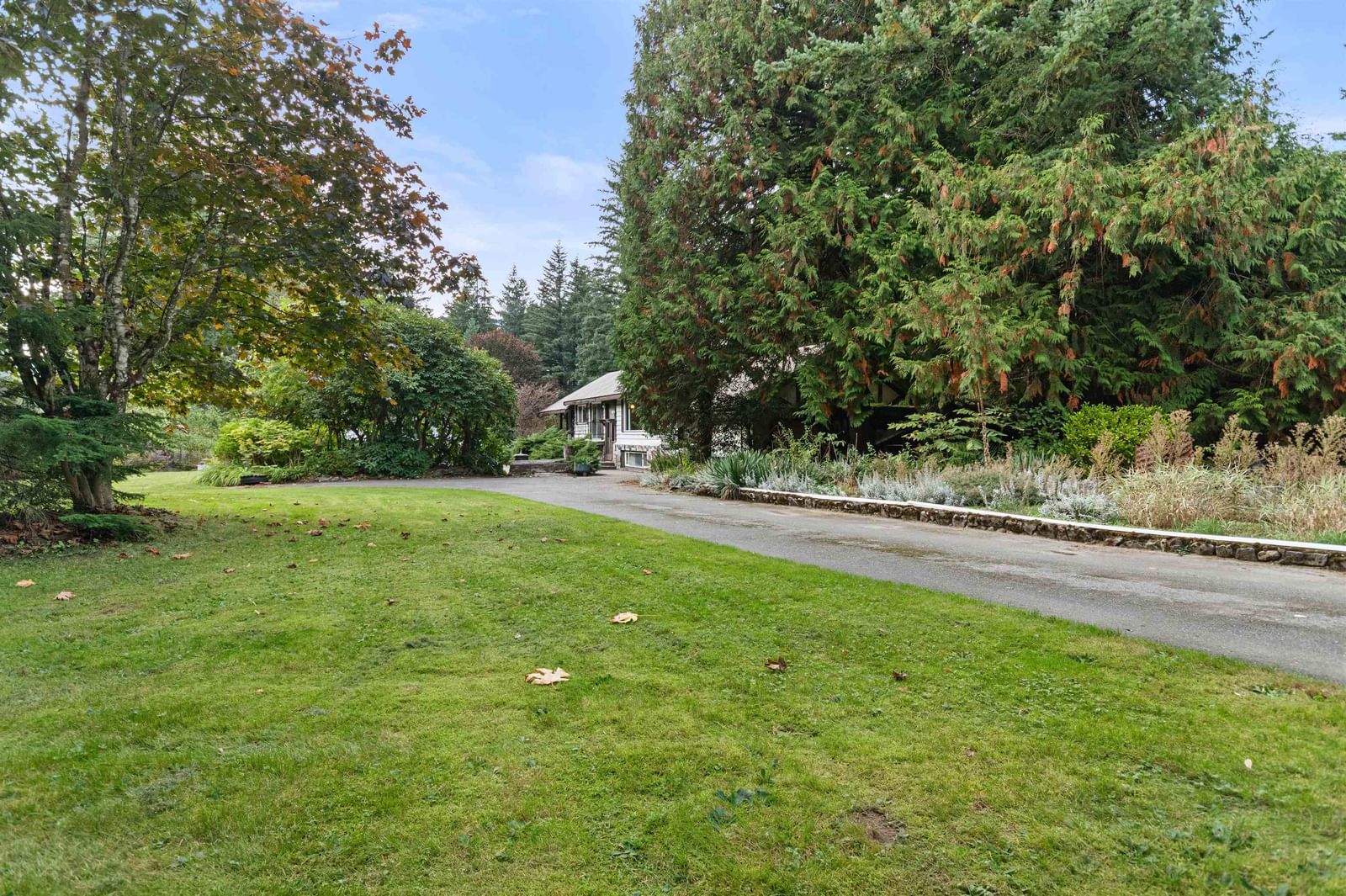 Listing Image 40