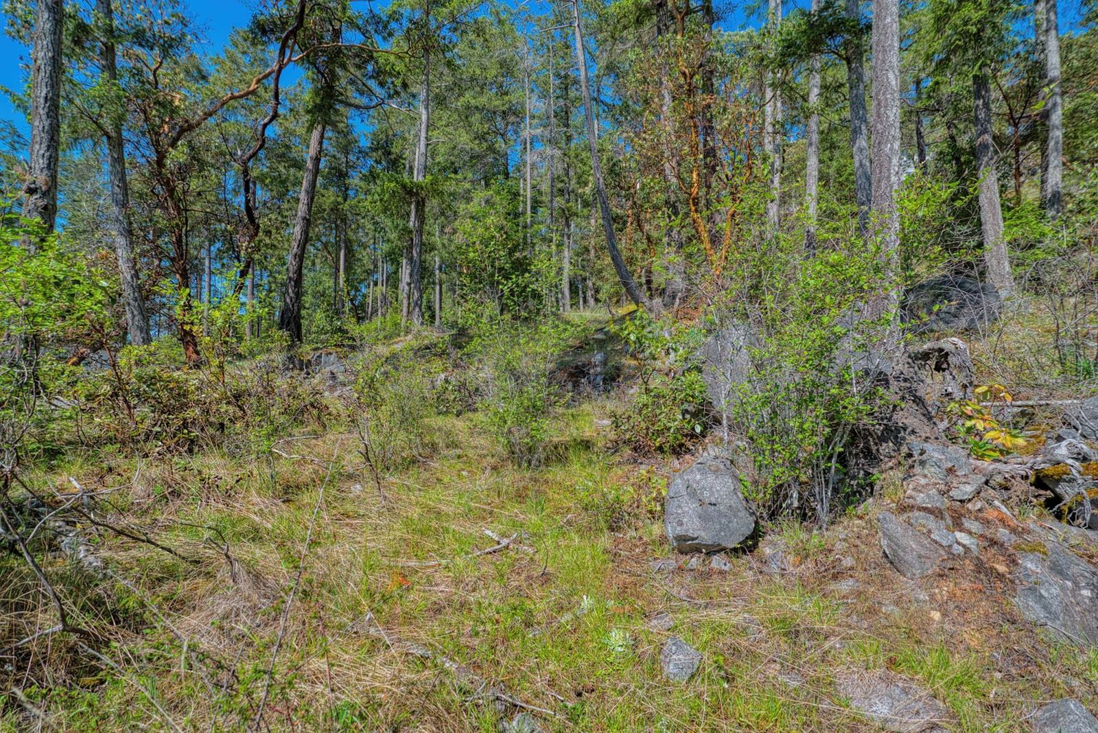 Listing Image 25
