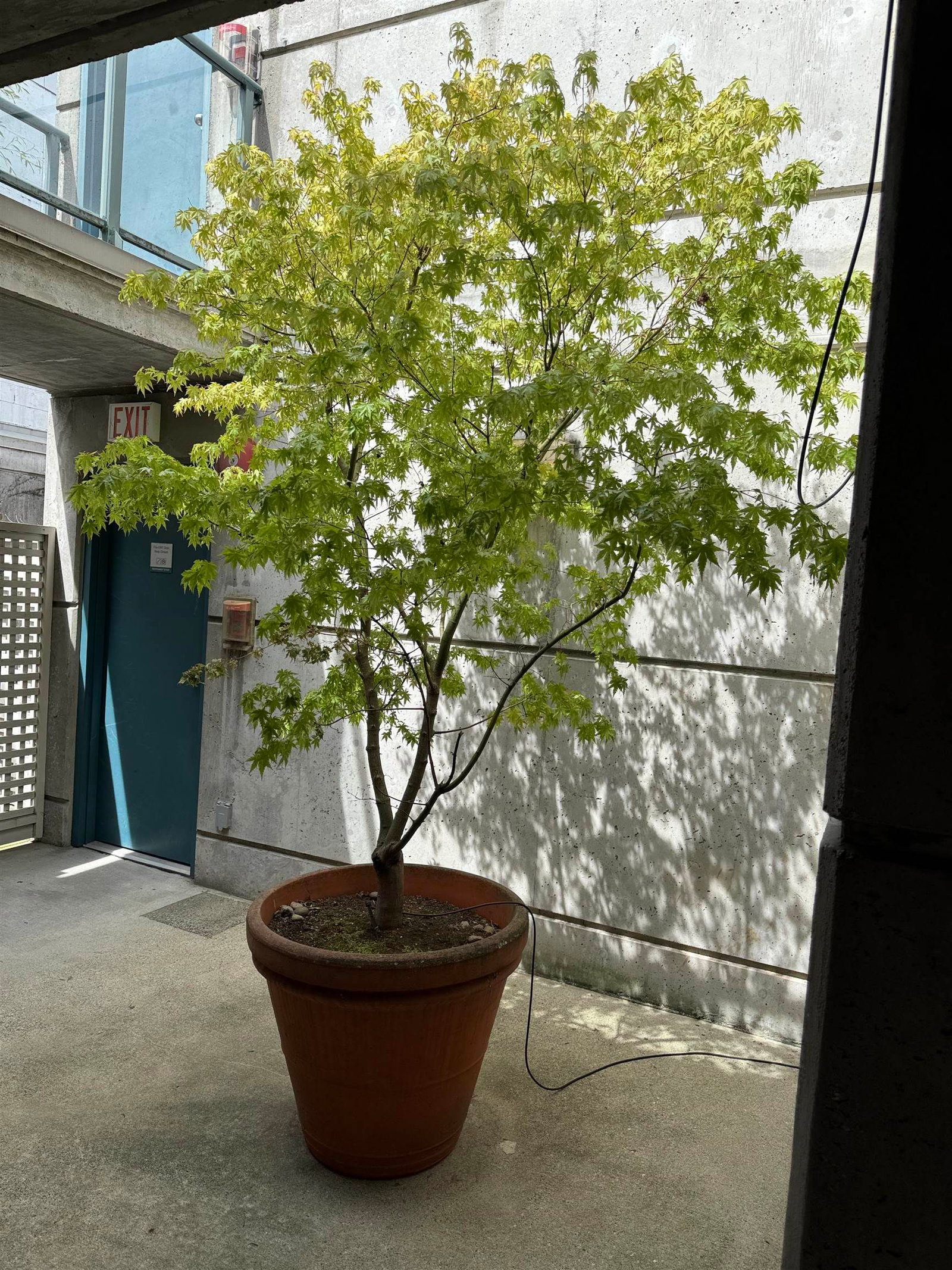 Listing Image 6