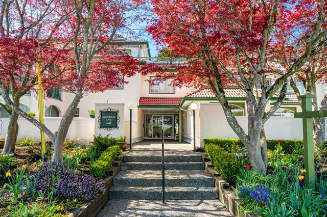 105 - 1447 Best Street