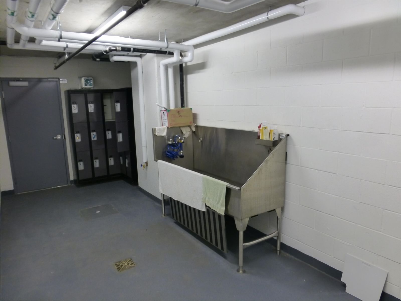 Listing Image 14