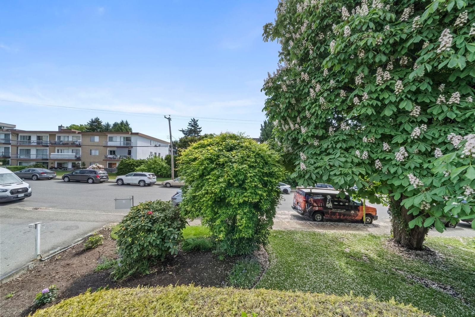 Listing Image 21