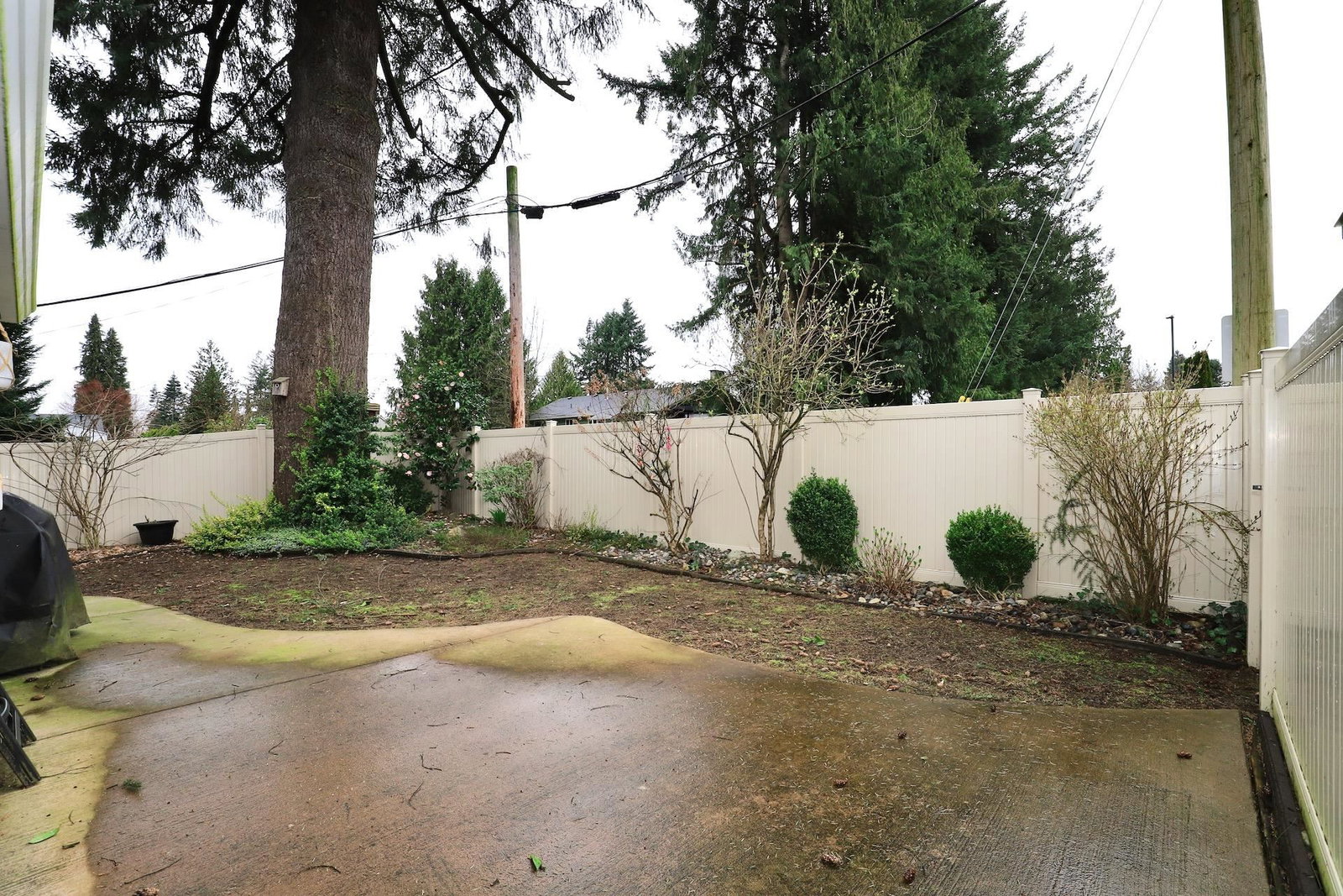 Listing Image 29