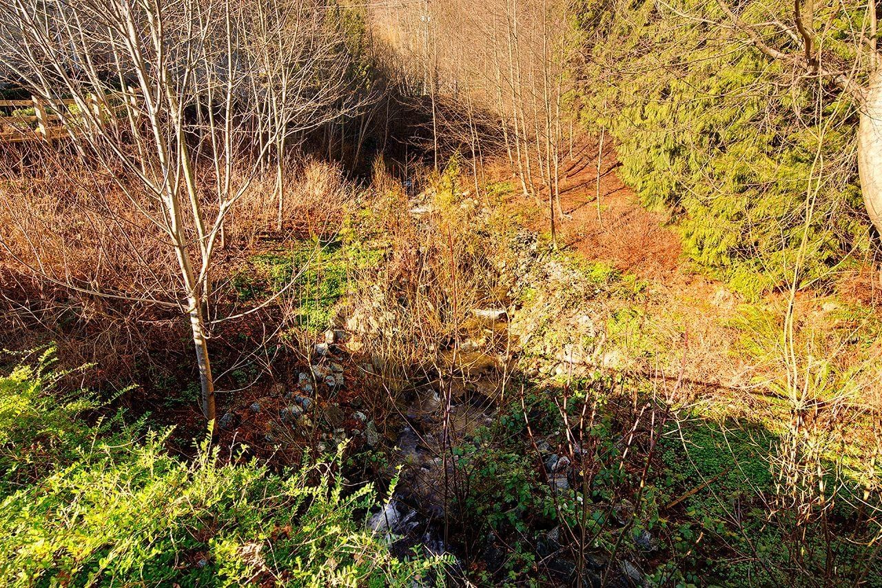 Listing Image 29