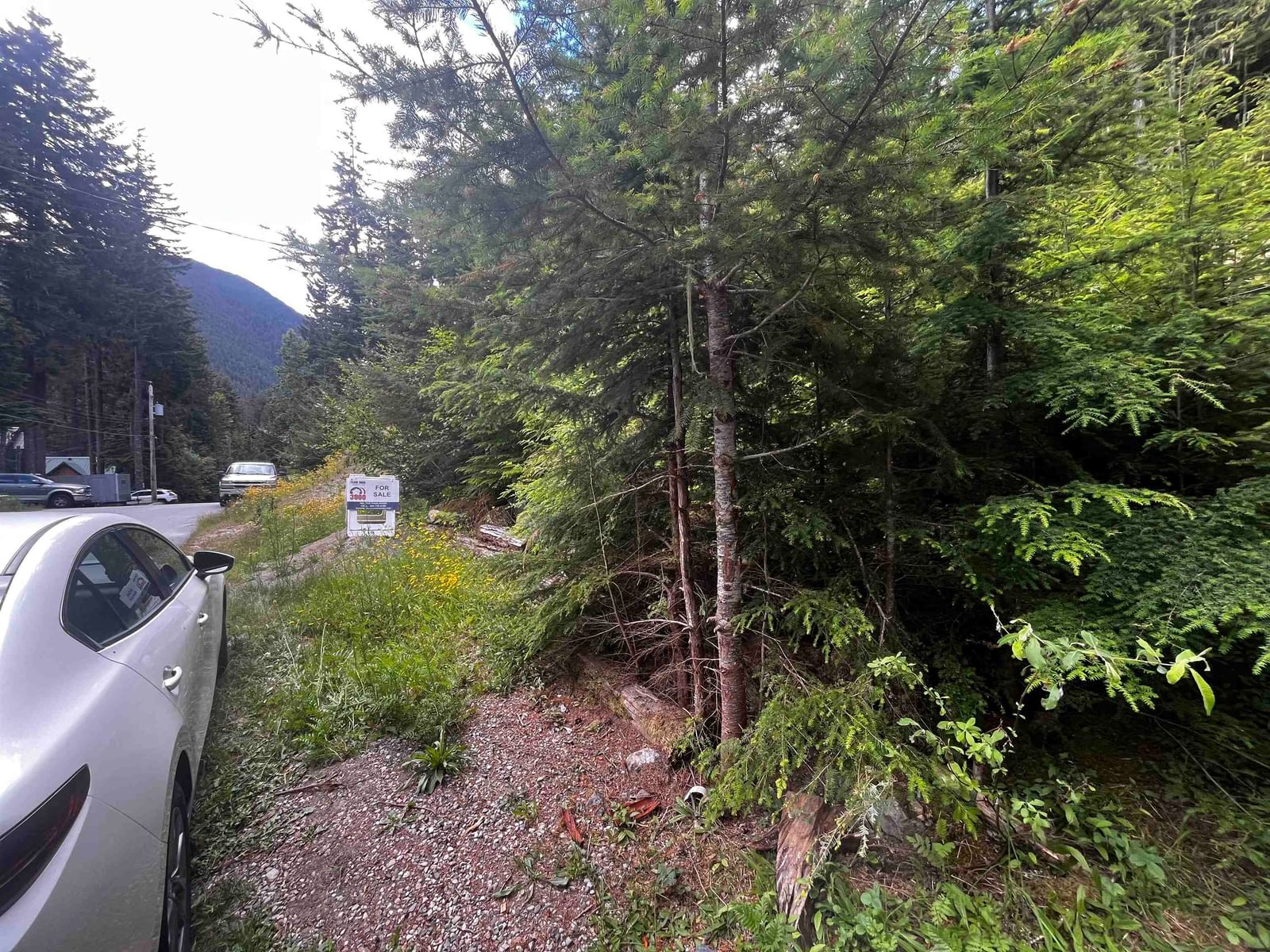Listing Image 8