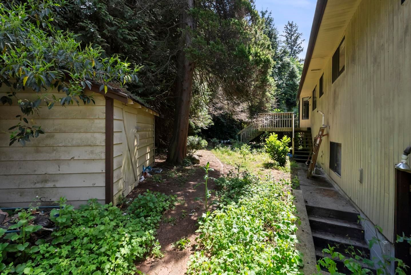 Listing Image 37