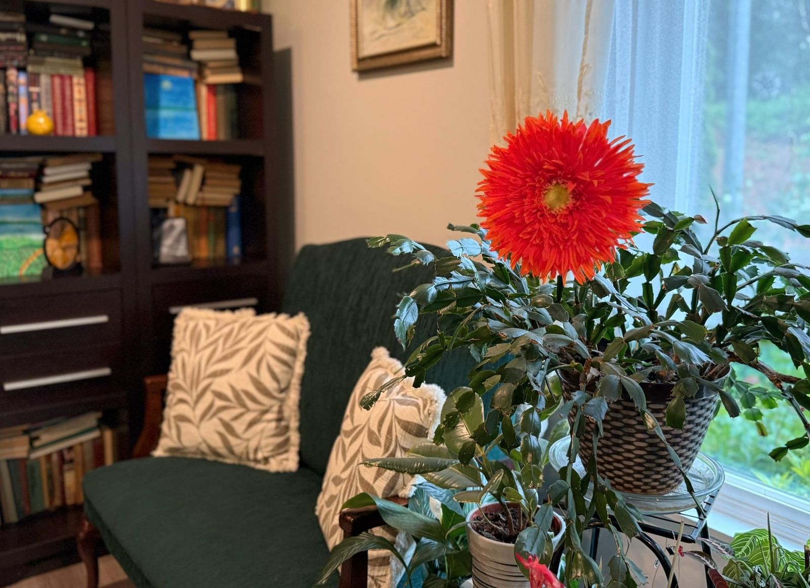 Listing Image 10