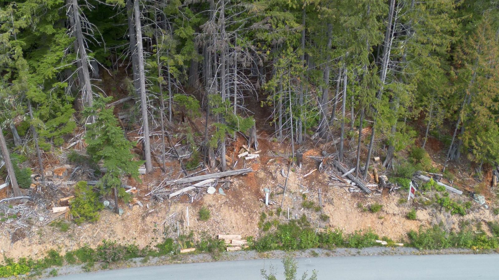 Listing Image 4