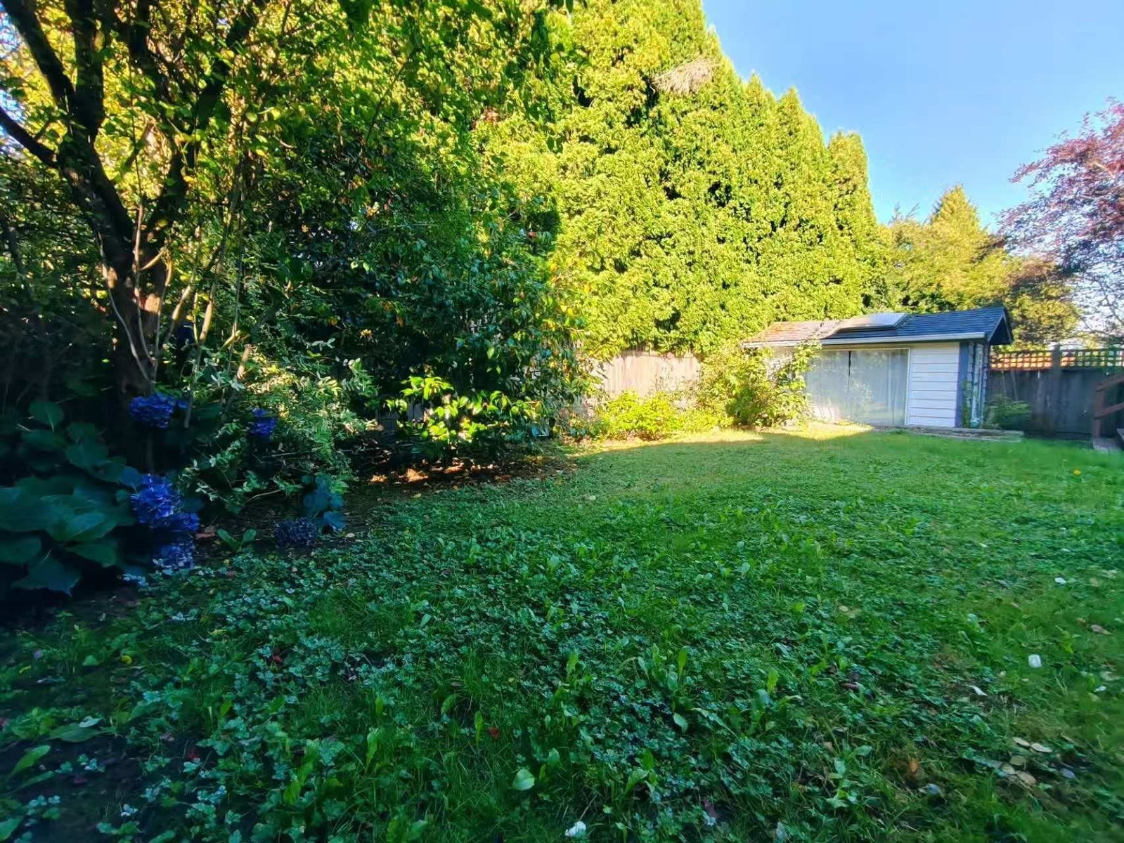 Listing Image 22