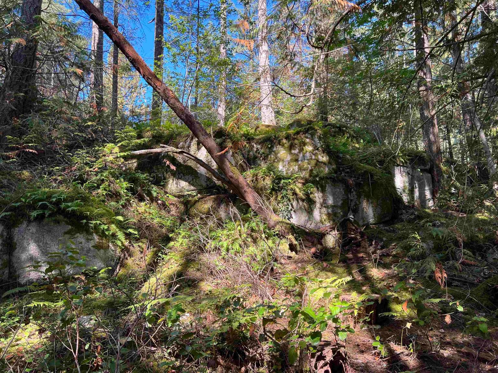Listing Image 8