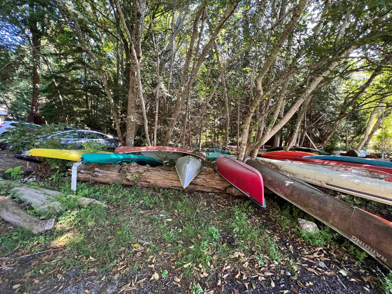 Listing Image 14