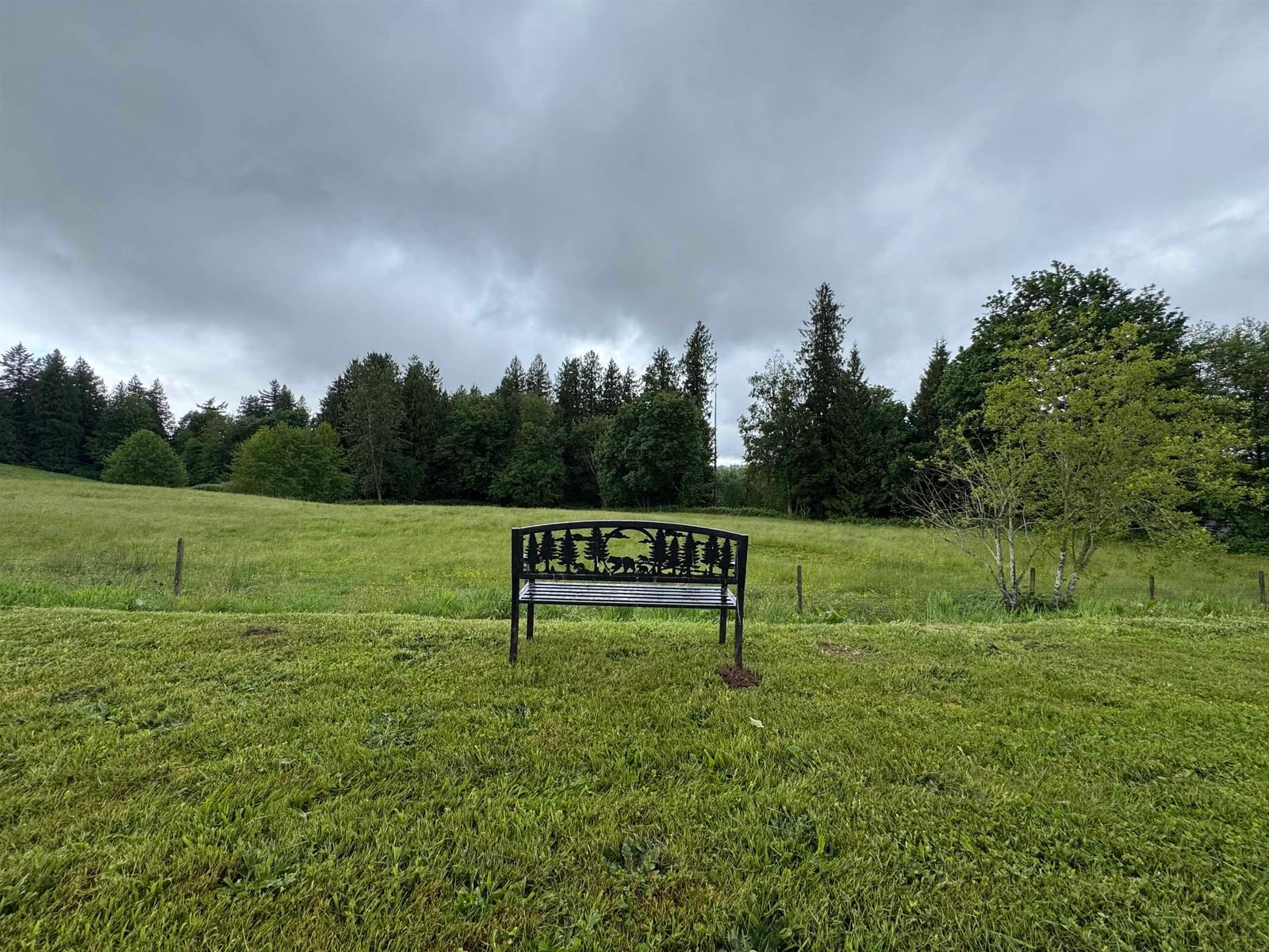 Listing Image 20