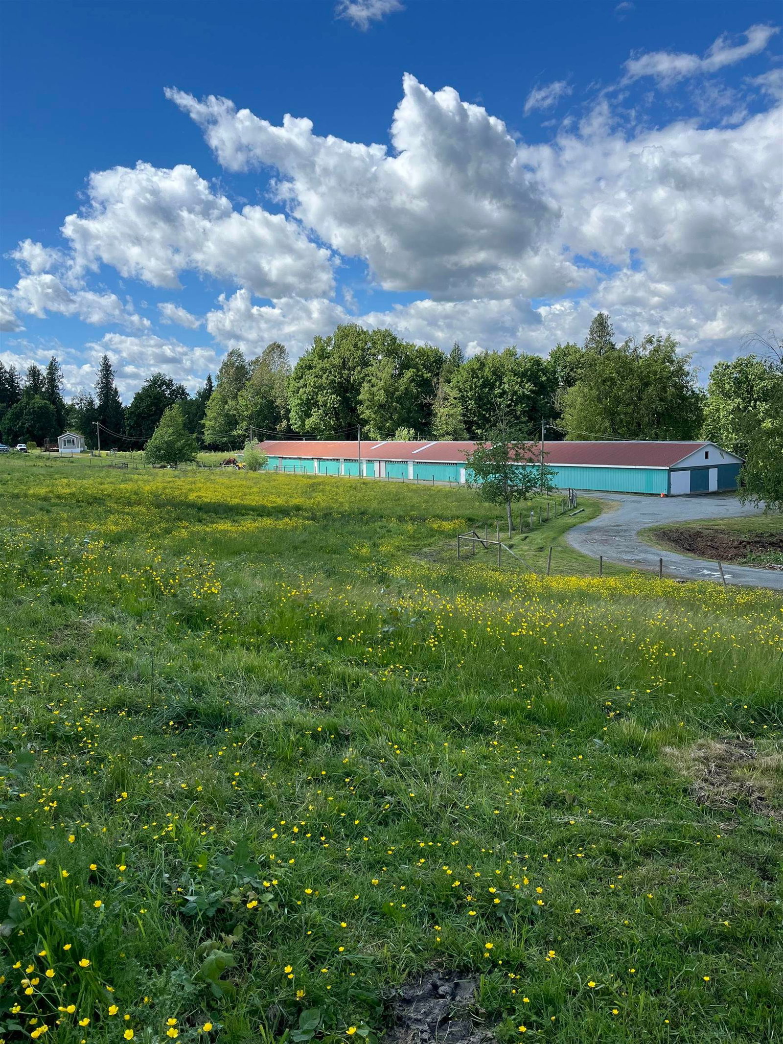 Listing Image 23