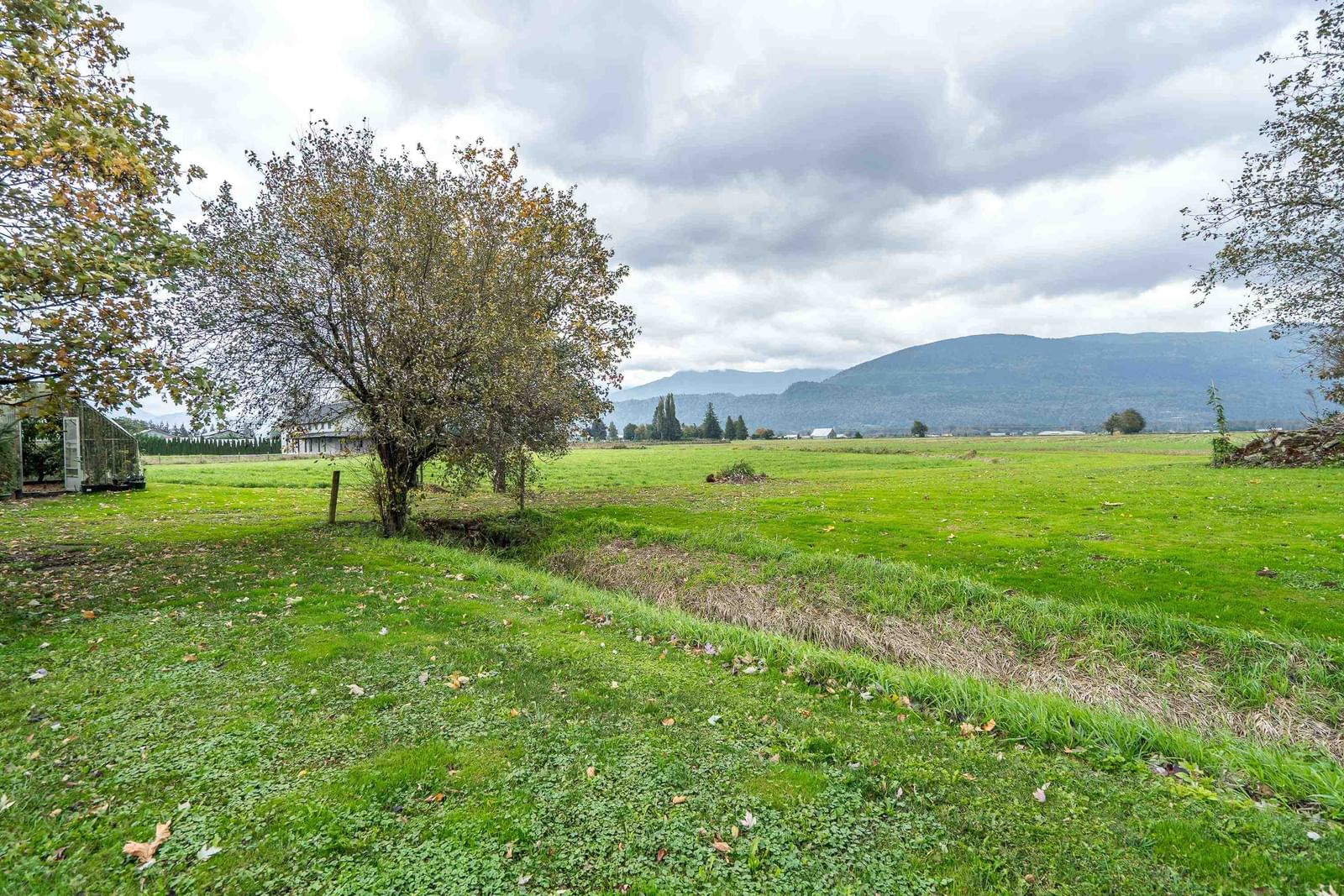 Listing Image 31