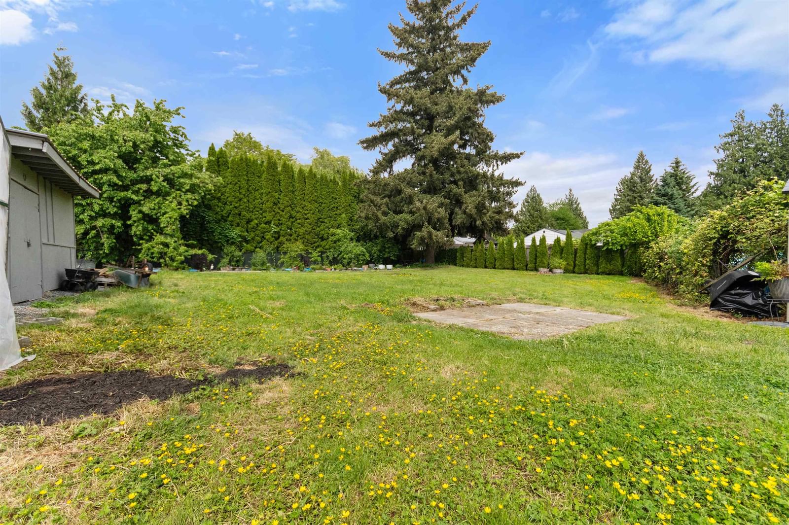 Listing Image 19