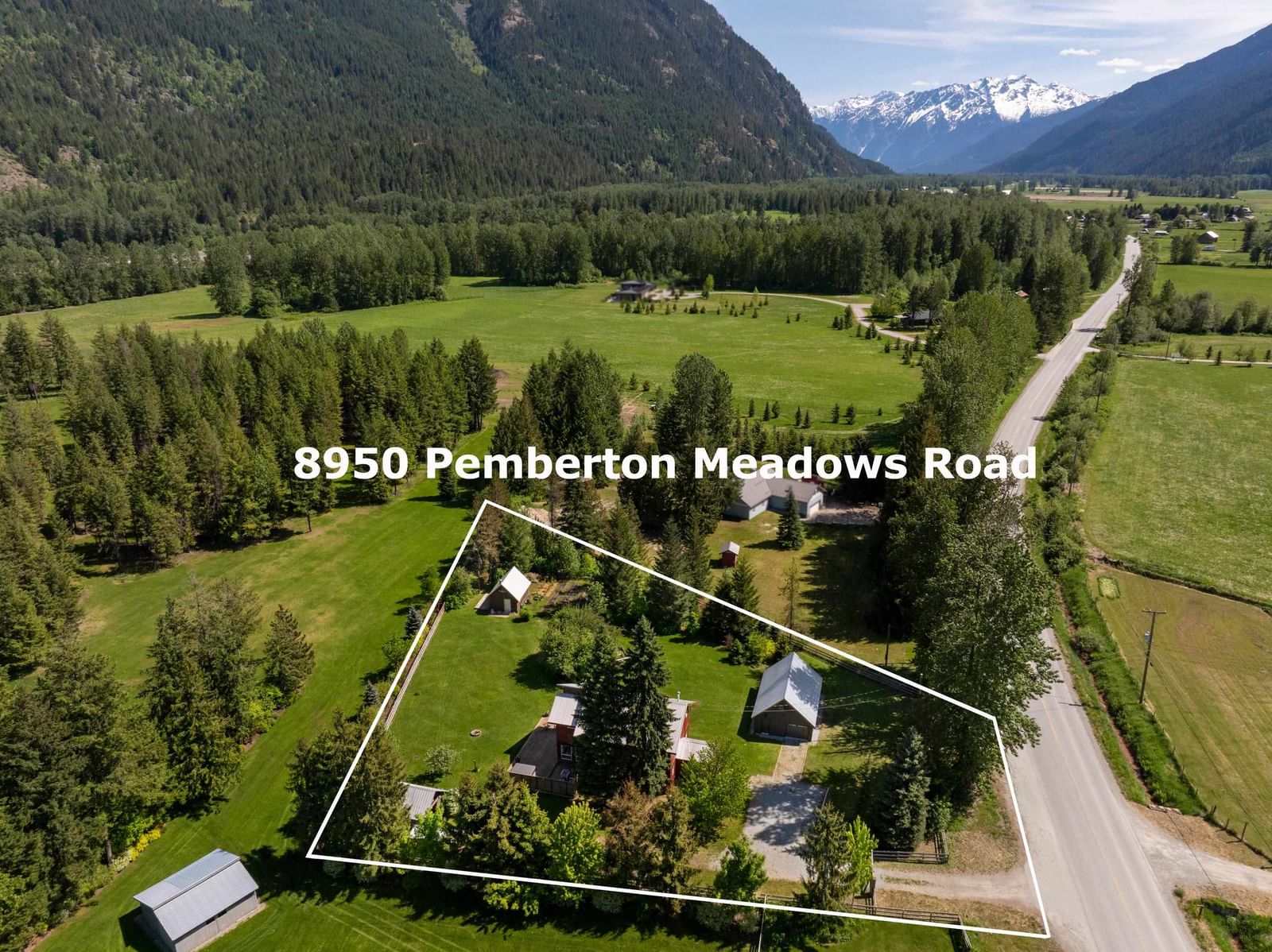 Listing Image 4