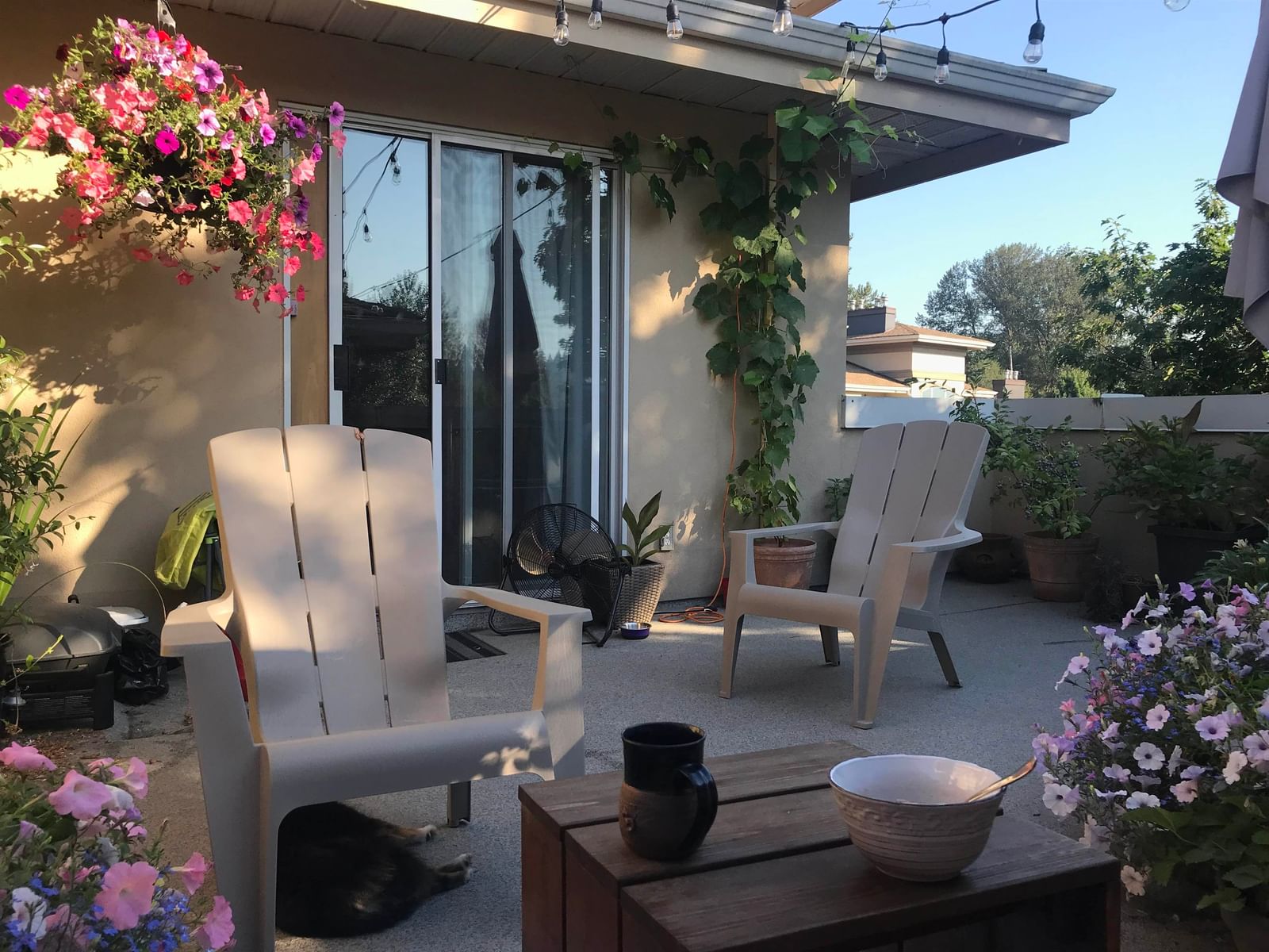 Listing Image 25