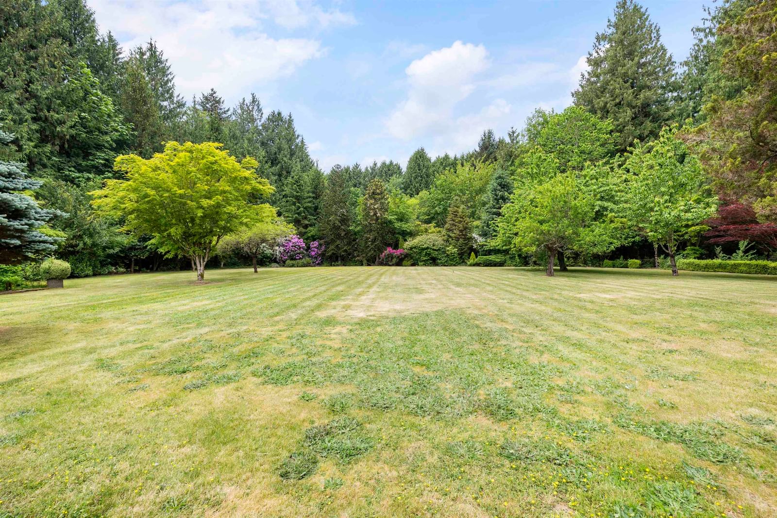 Listing Image 34