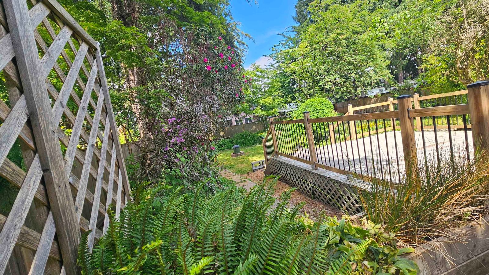 Listing Image 19