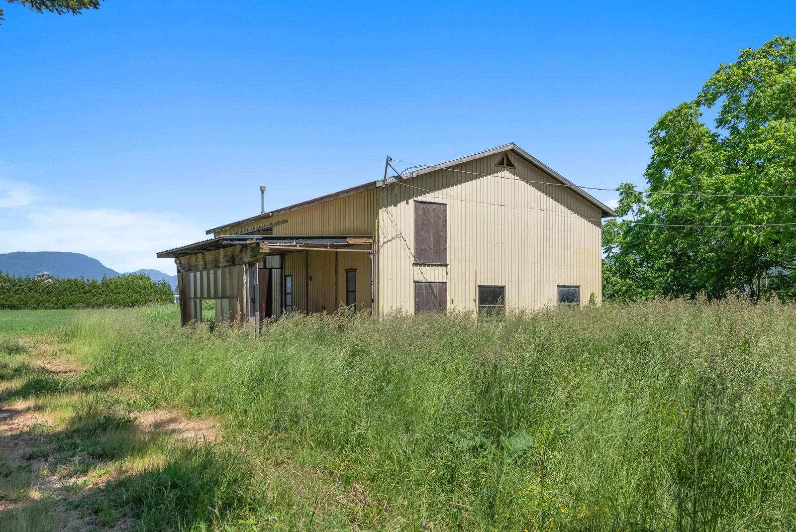 Listing Image 29