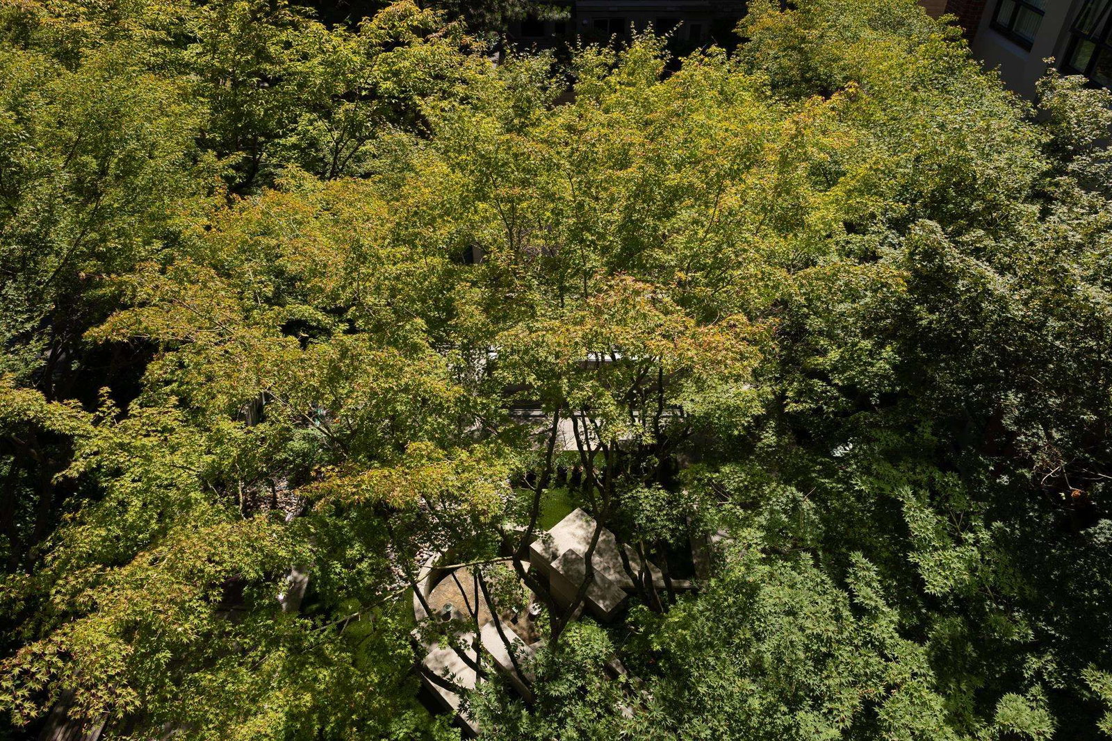 Listing Image 30