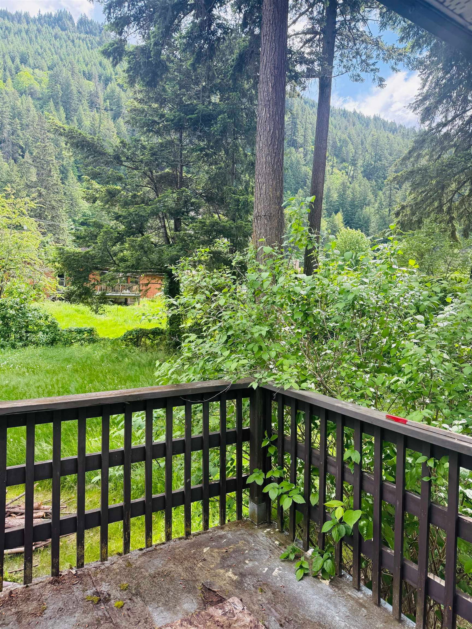 Listing Image 17