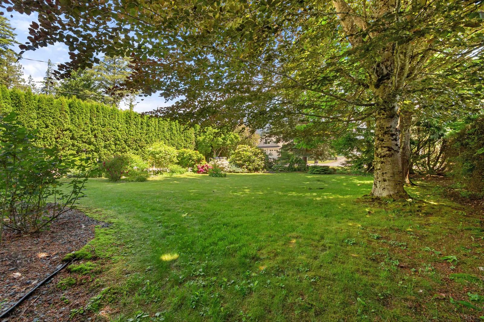 Listing Image 33