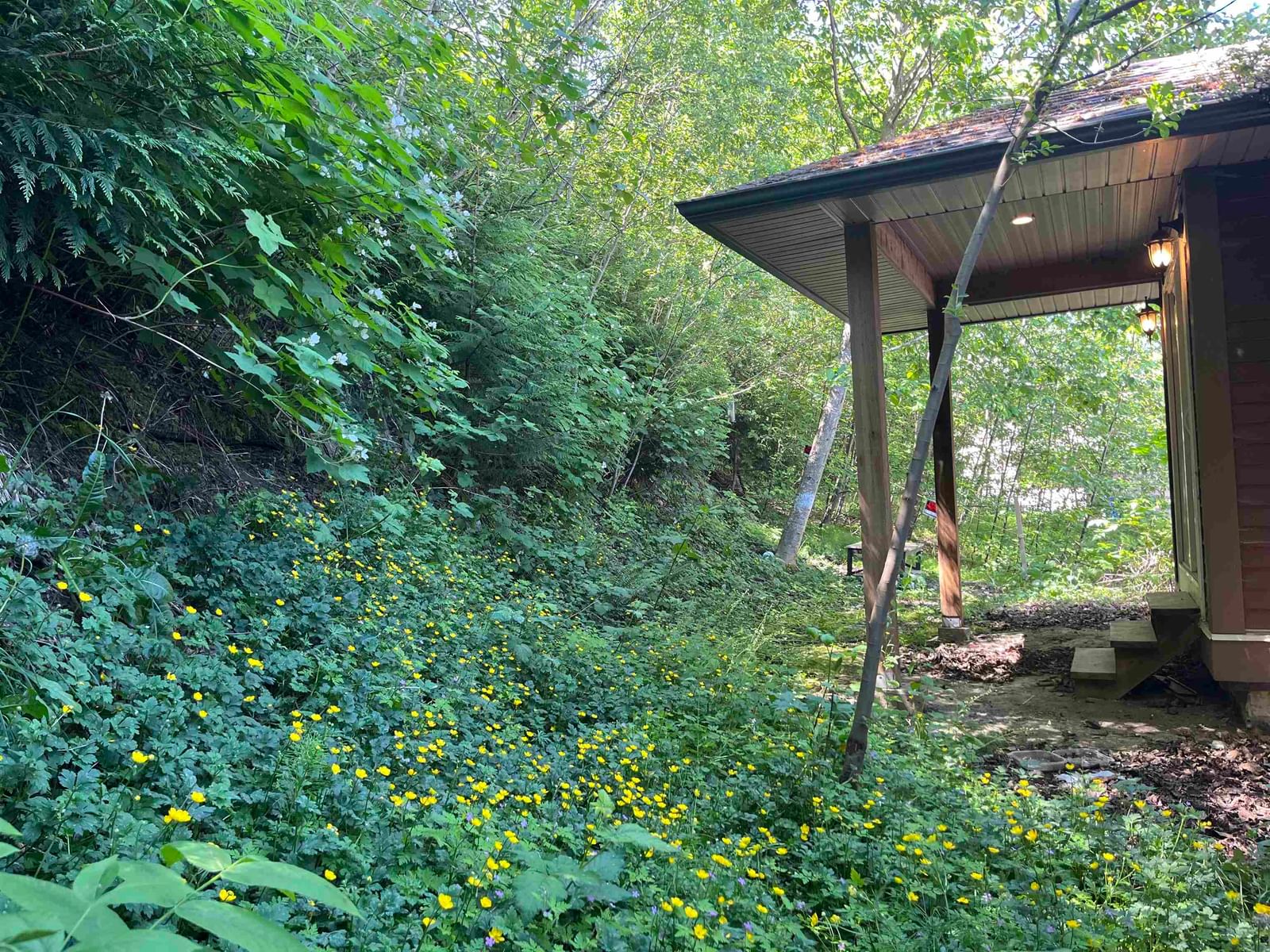 Listing Image 11