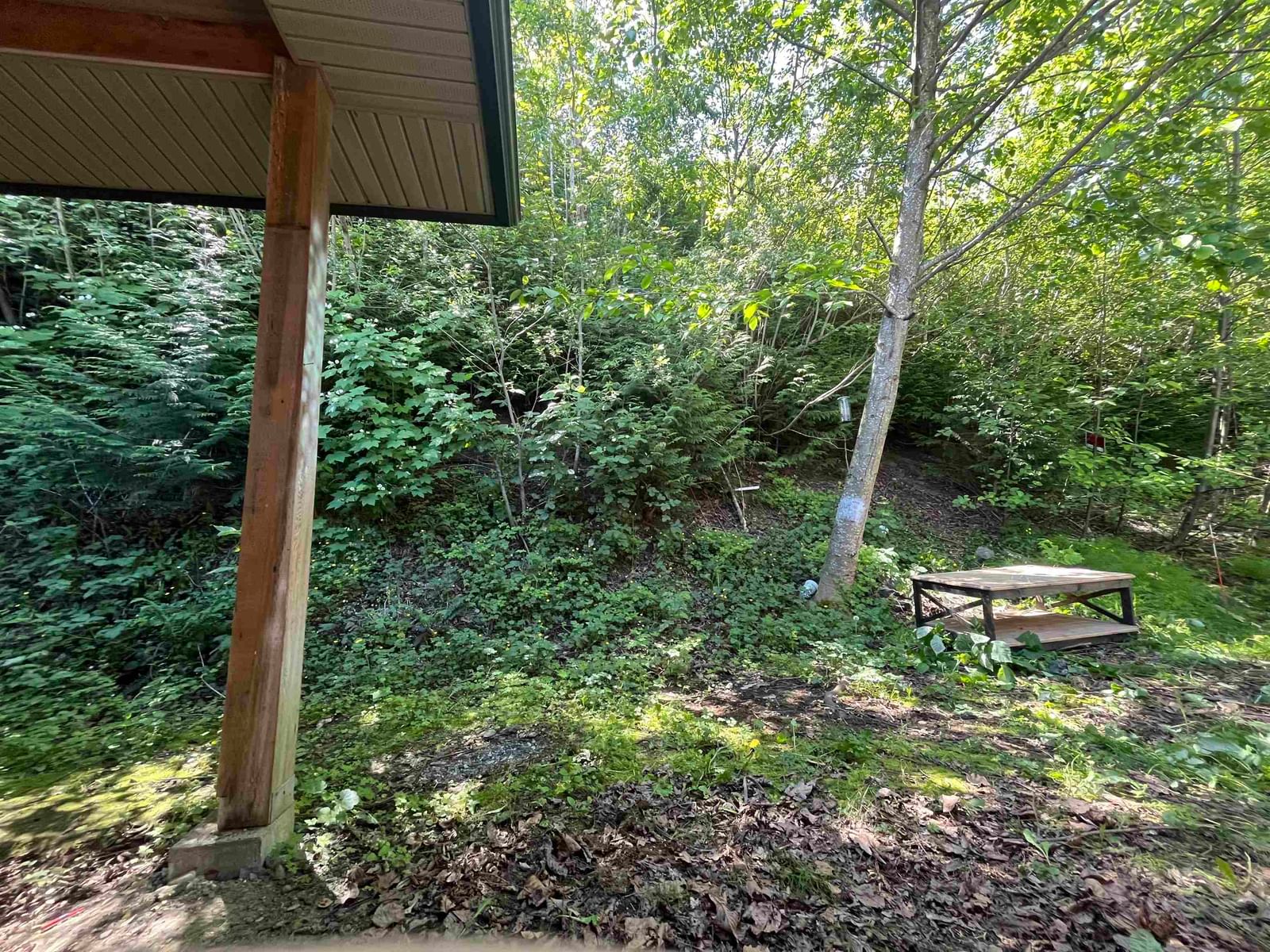 Listing Image 12