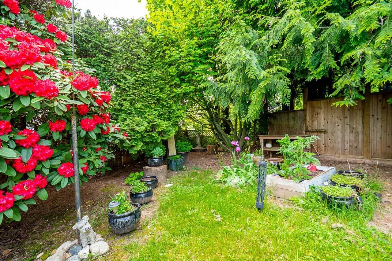 Listing Image 34