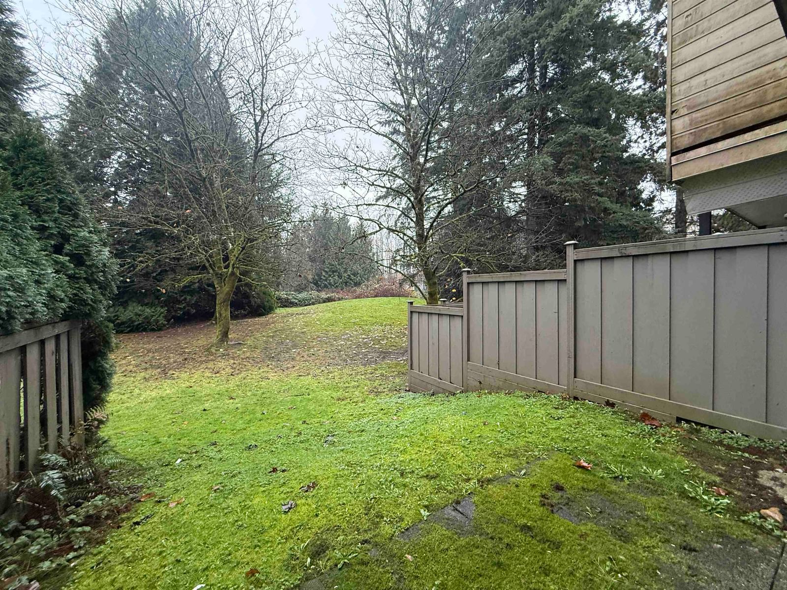 Listing Image 36