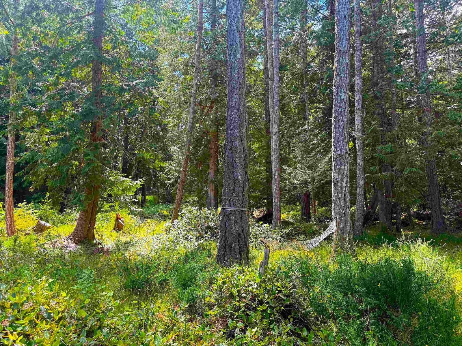 Listing Image 24