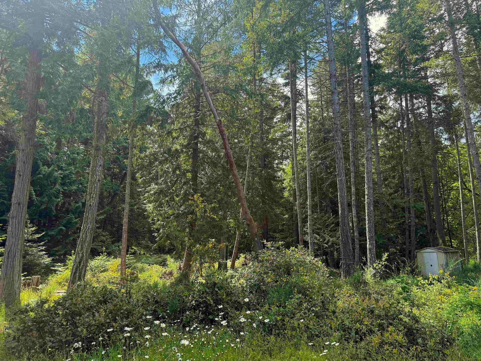 Listing Image 30