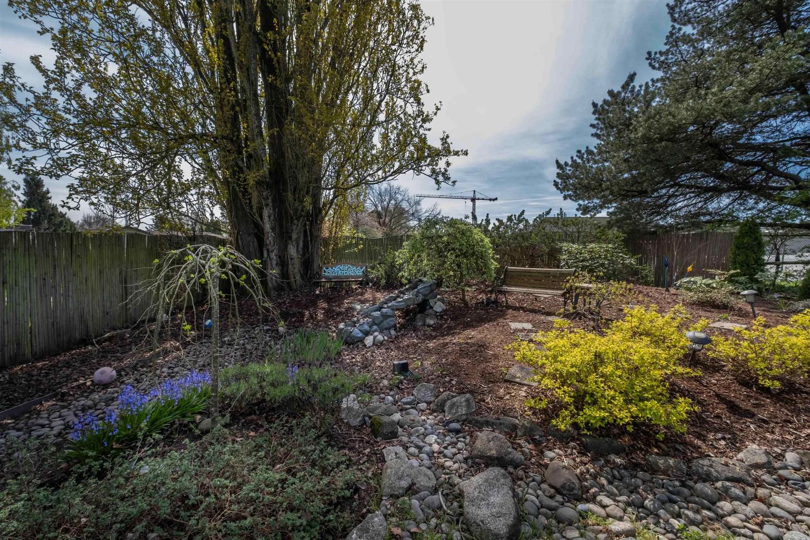 Listing Image 32