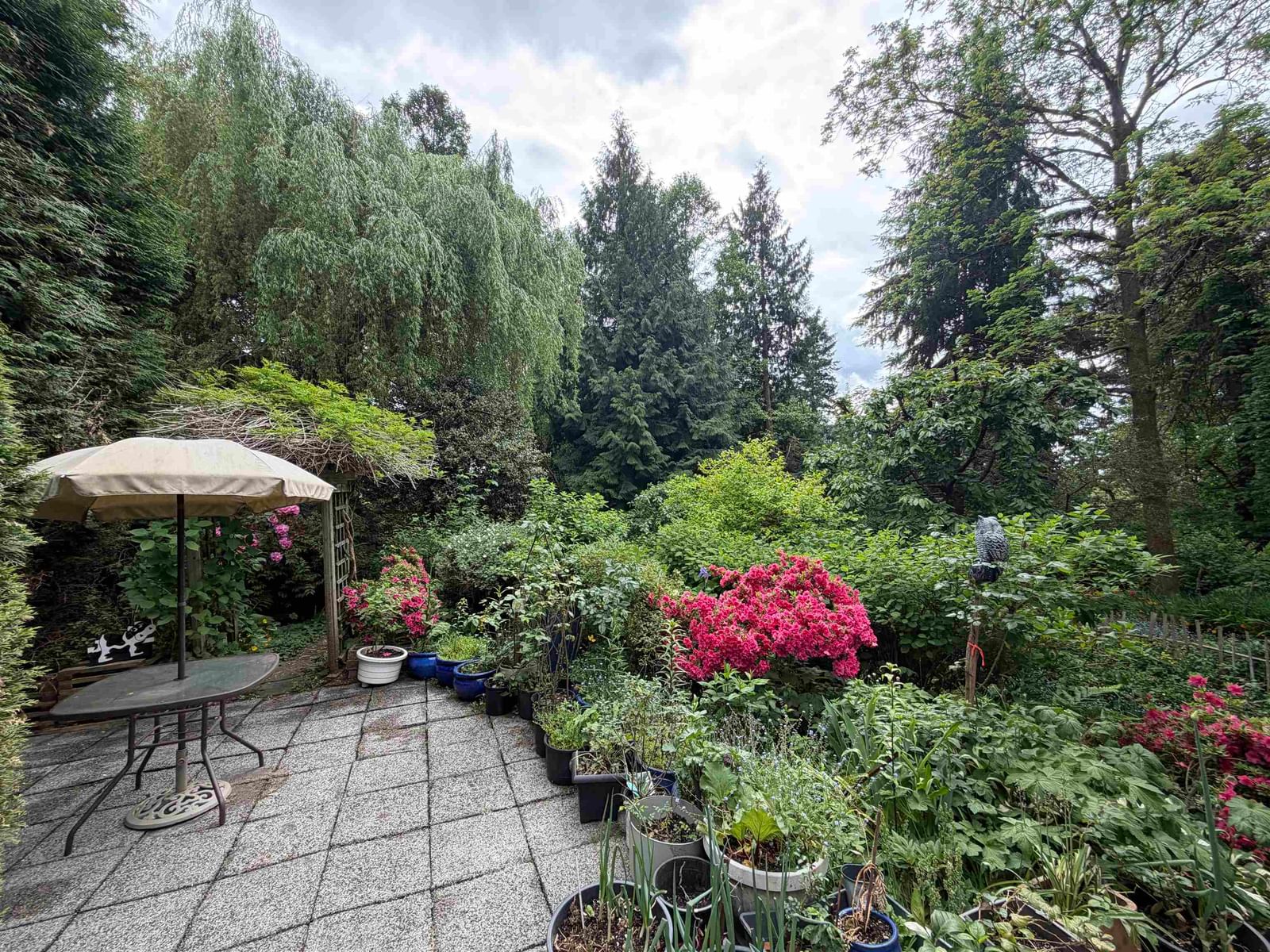 Listing Image 14