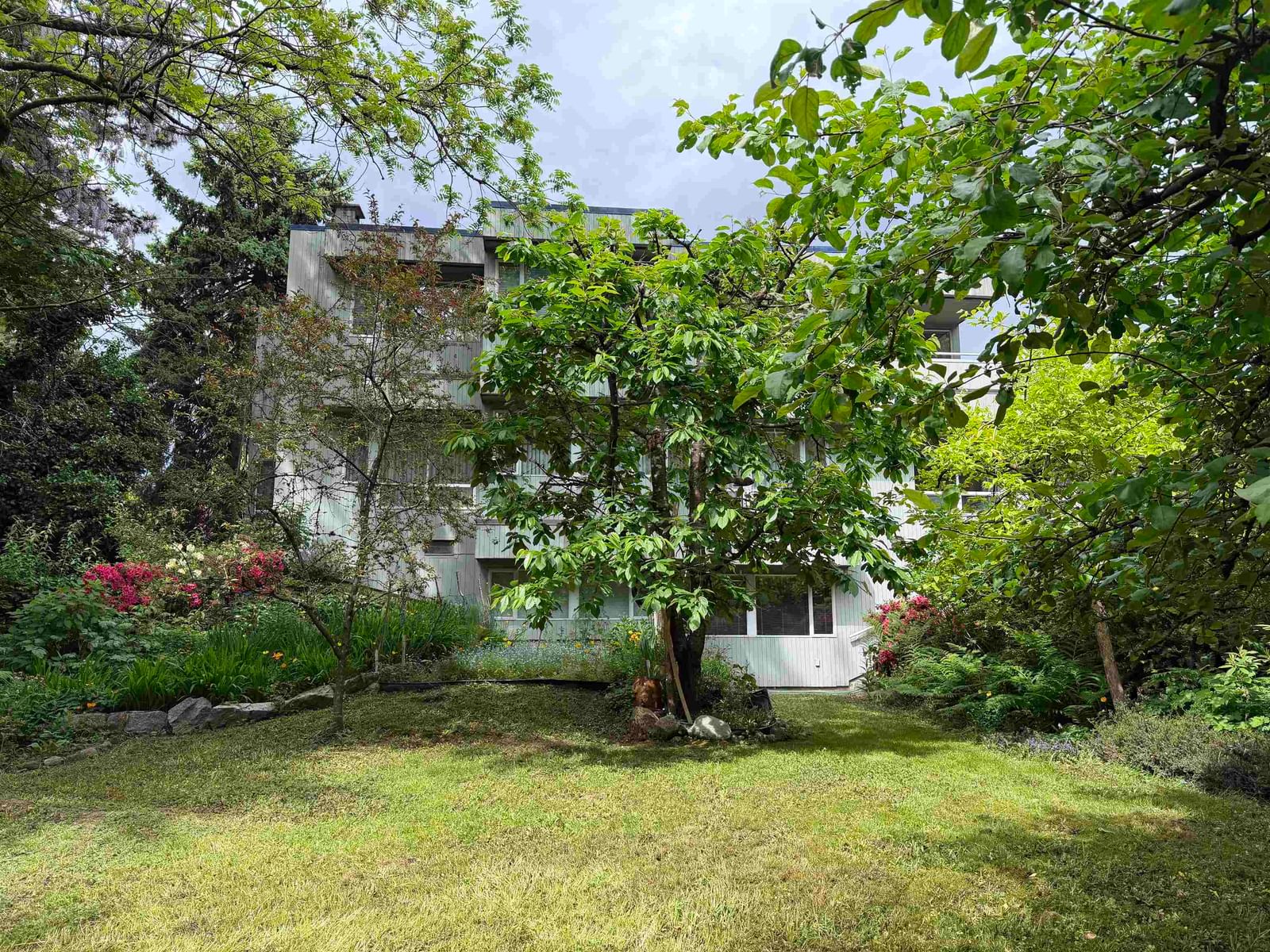 Listing Image 17