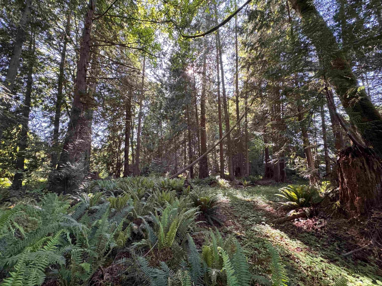 Listing Image 18