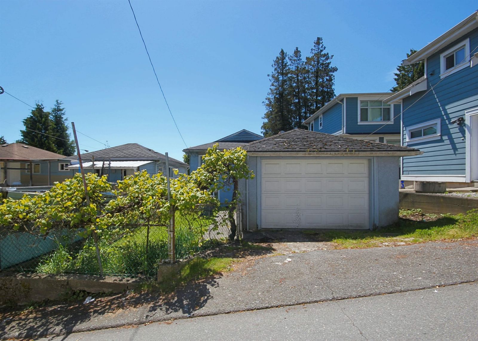Listing Image 14