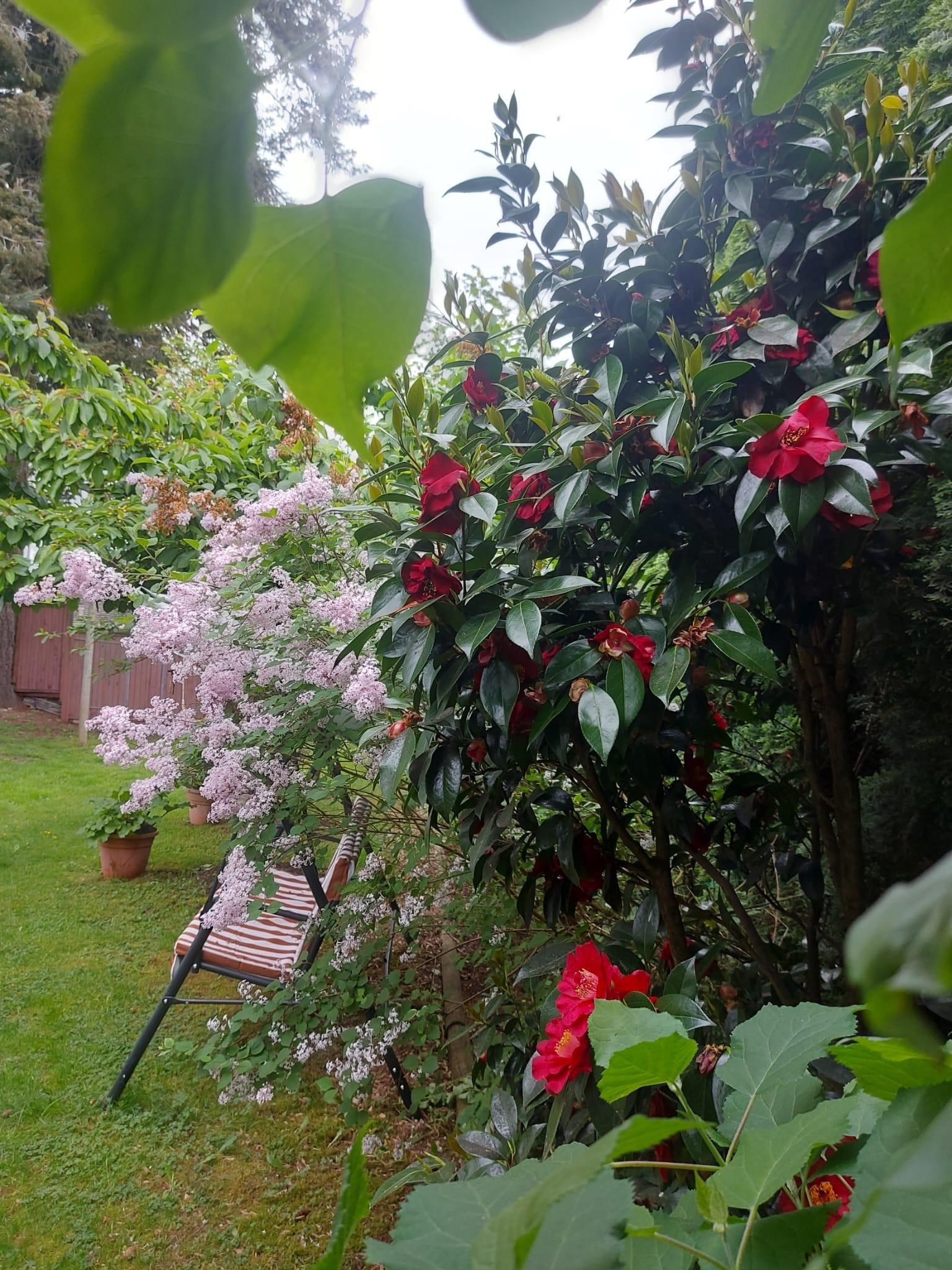 Listing Image 32