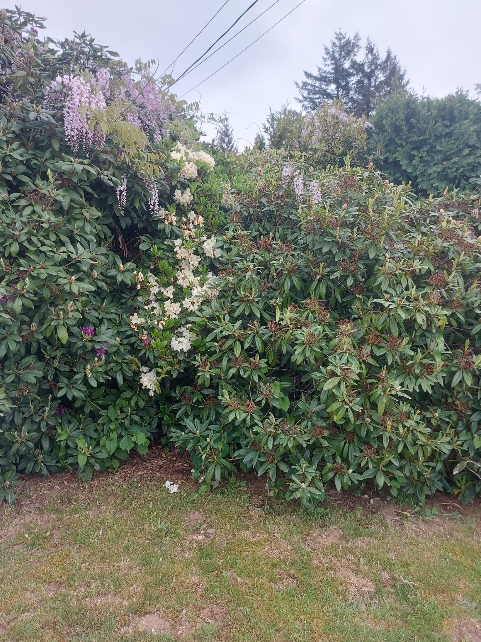 Listing Image 34