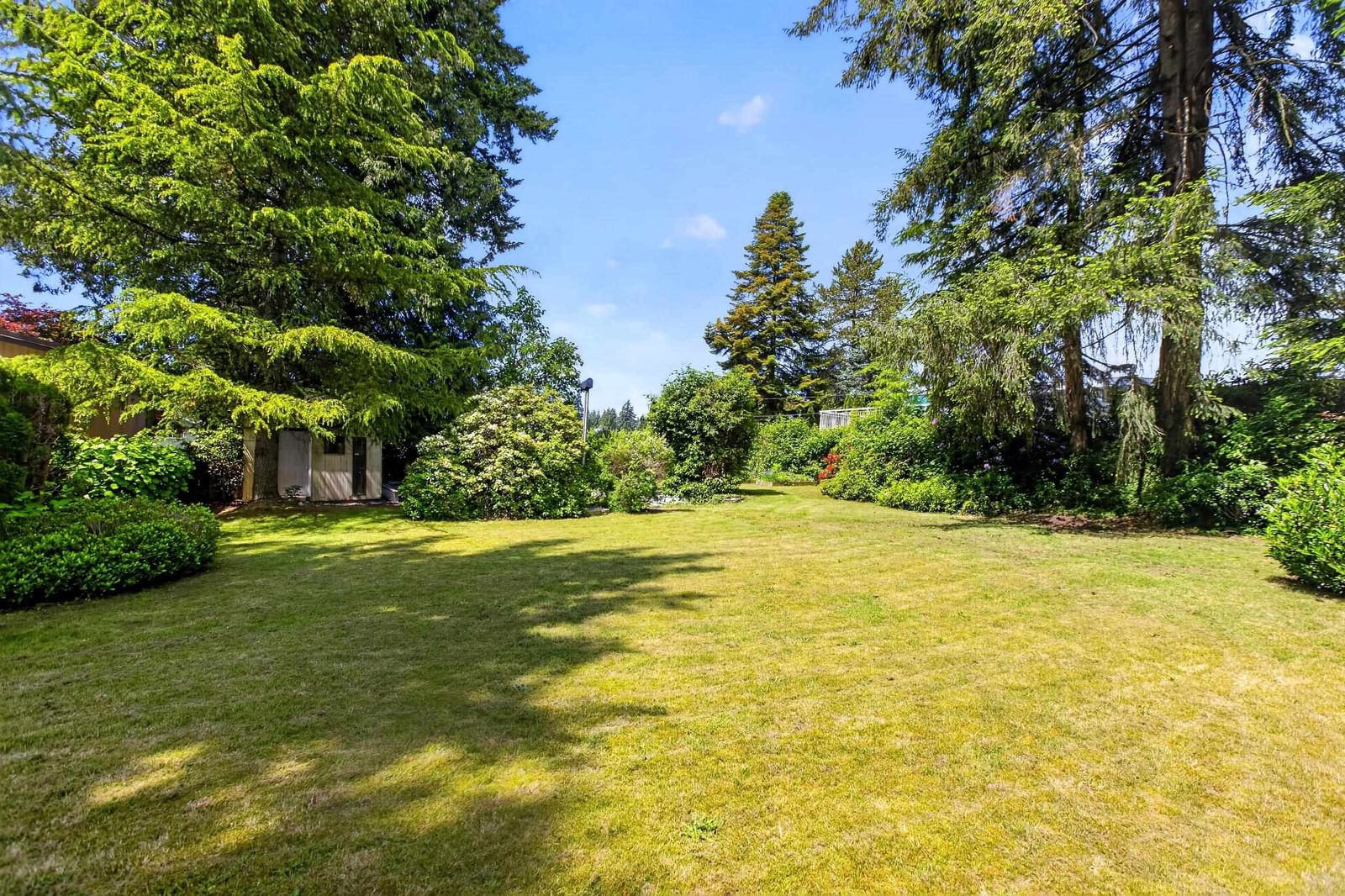 Listing Image 32