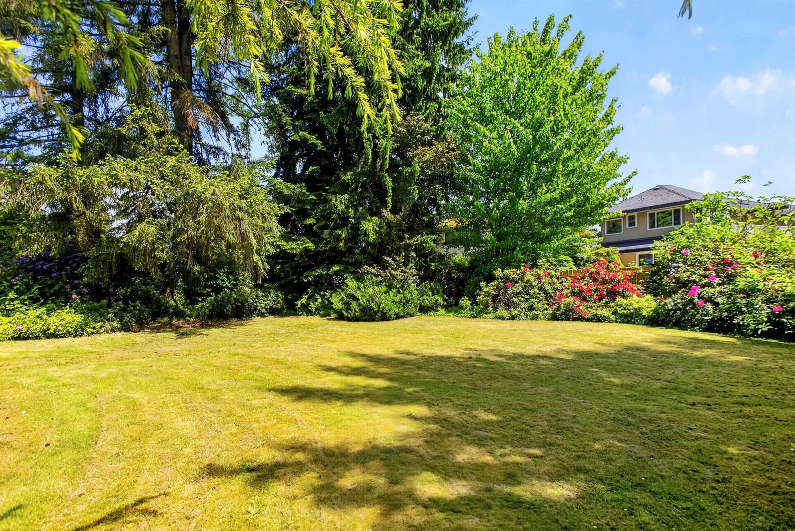 Listing Image 33