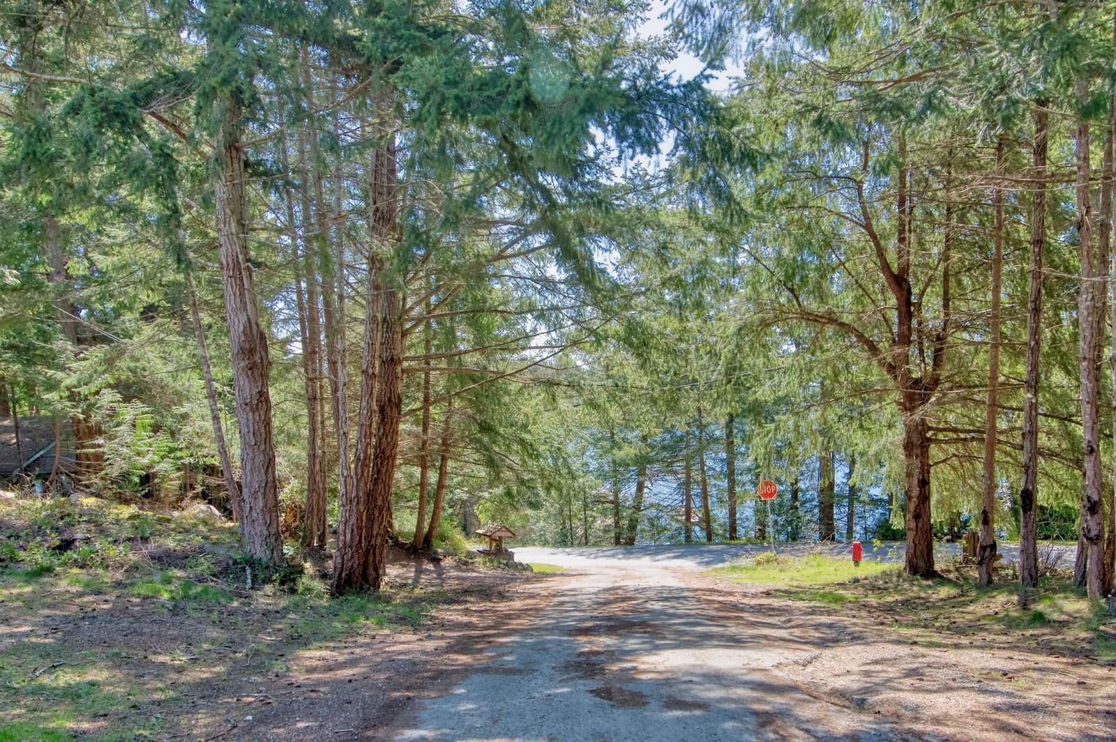 Listing Image 14