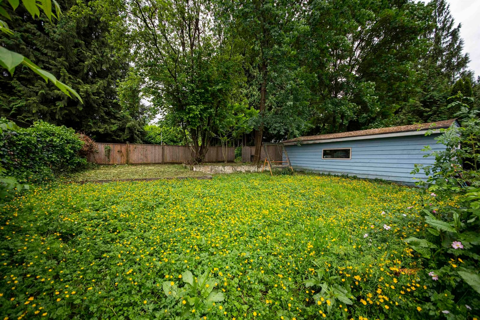 Listing Image 5