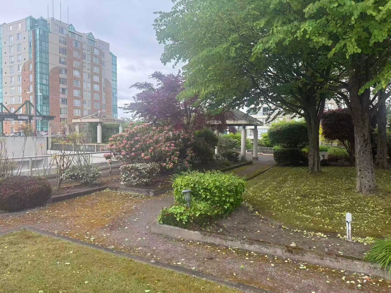 Listing Image 19